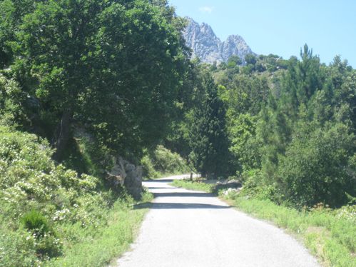 la-Corse--suite--7754.JPG