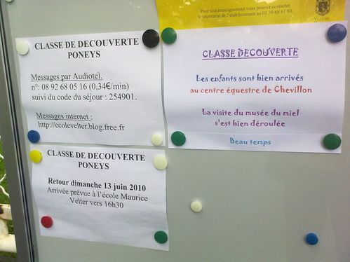 Classe-decouverte-2010.JPG