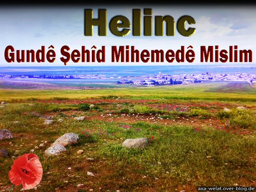 Helinc ( Kaniya Sehidan) Kopie