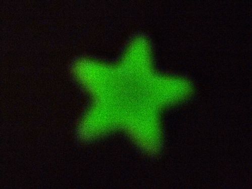 étoile phosphorescente