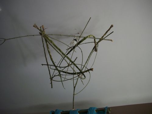 Mon lustre quantique en bois d'olivier trouve ton coeur et tu ...