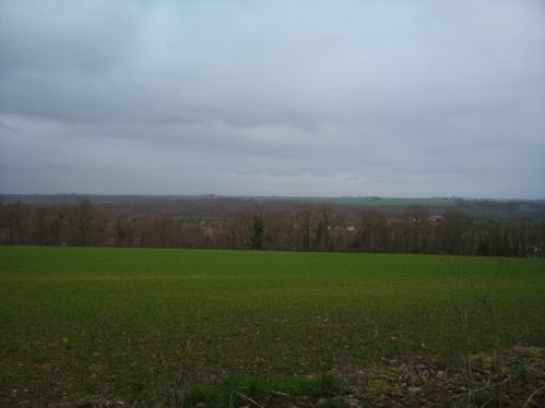 2012-01-08 10.16.38