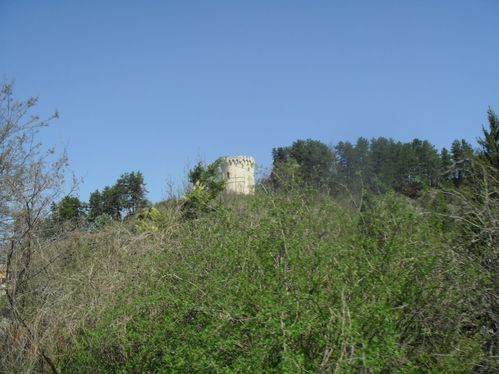 Photo 017