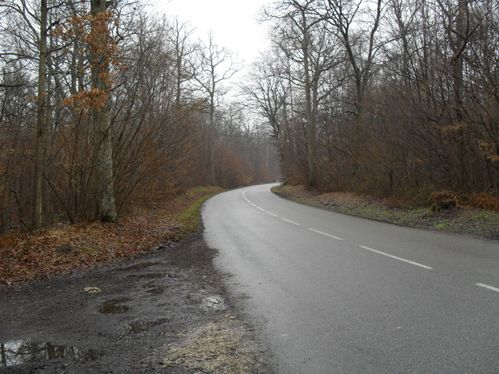 Photo 005