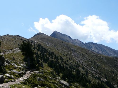 P1070439.JPG