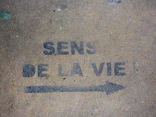 Lyon2010sensdelavie-copie-2.jpg