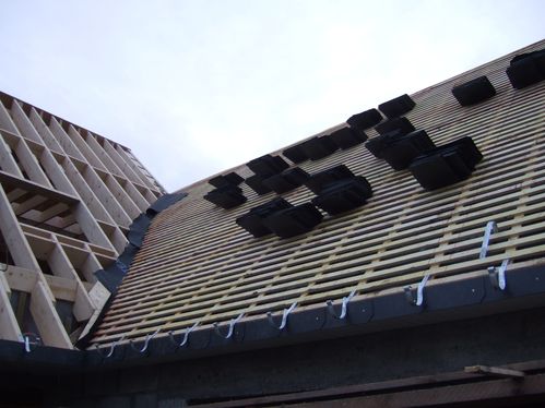 DSCF7800.JPG