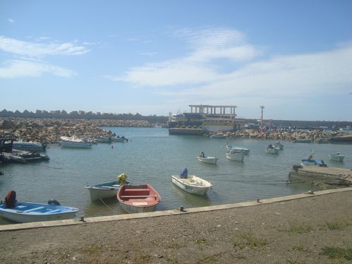 DSC08816