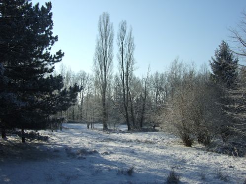 DSCF2688.JPG