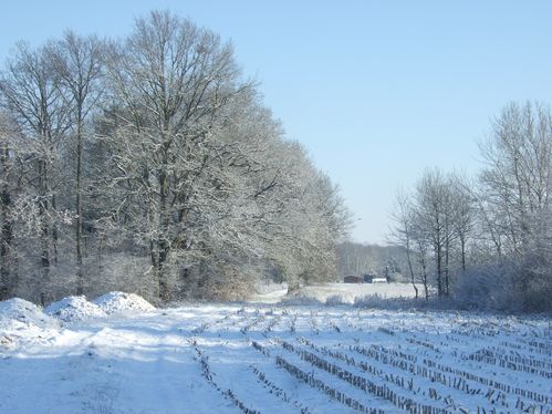 DSCF2700.JPG