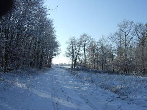 DSCF2703.JPG
