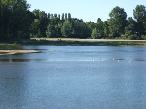 2012_0818Loirete20120018.JPG