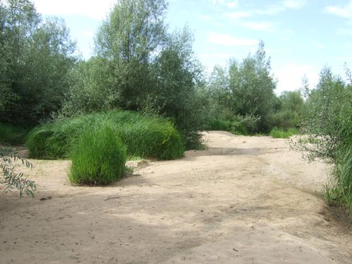 DSCF2973.JPG