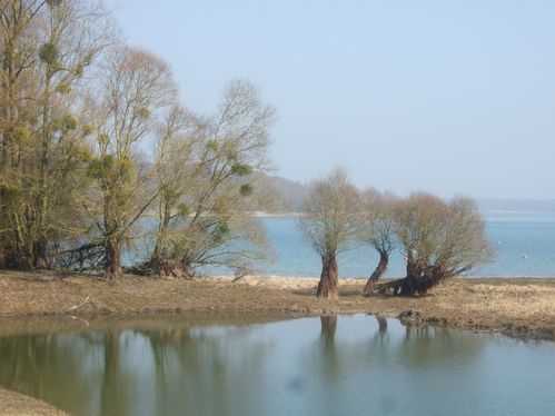 DSCF1505.JPG