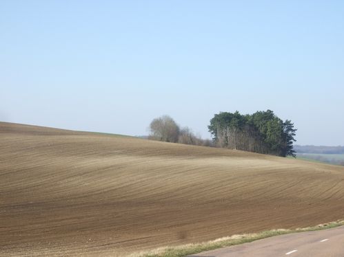 DSCF1546.JPG