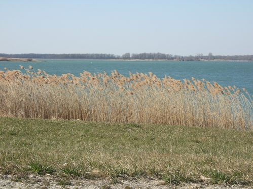 DSCF1550.JPG
