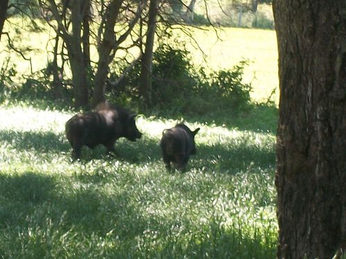 100_1569.jpg