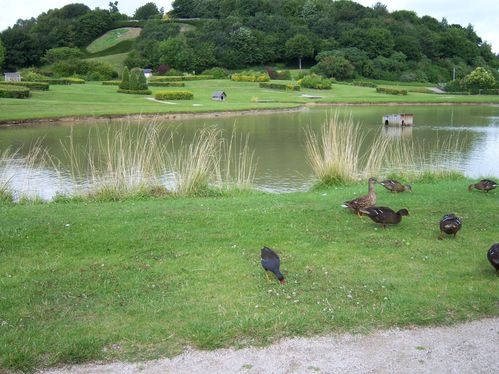 Parc Caen 24.07.09