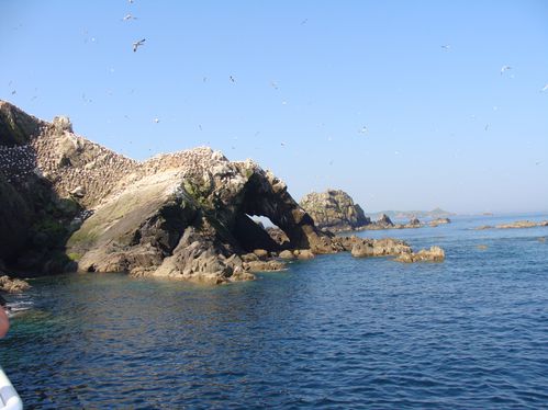 DSC01701