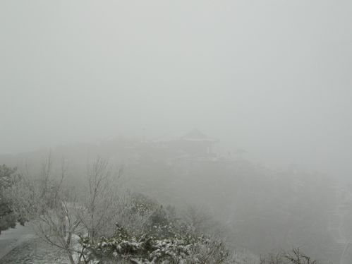 Photos-Pekin-janvier-fevrier-2011-suite-4-034.jpg