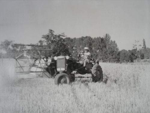 allis-chalmers-moiss2
