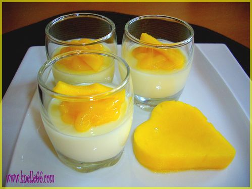 Panna cotta rhum-mangue3
