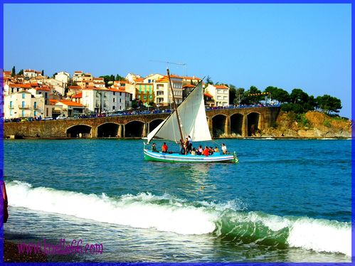 plage-a-Banyuls.jpg