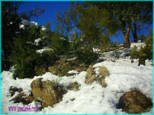 NEIGE 2010 060