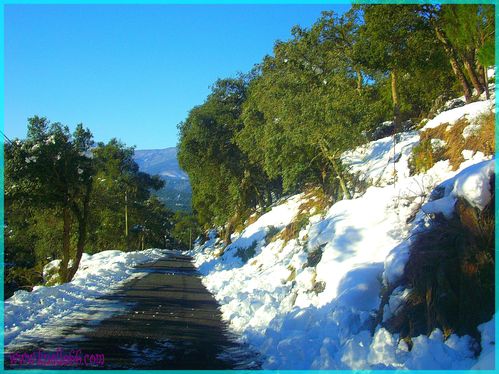 NEIGE 2010 073