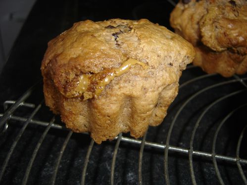 muffins cacao nutella ou speculoos (8)