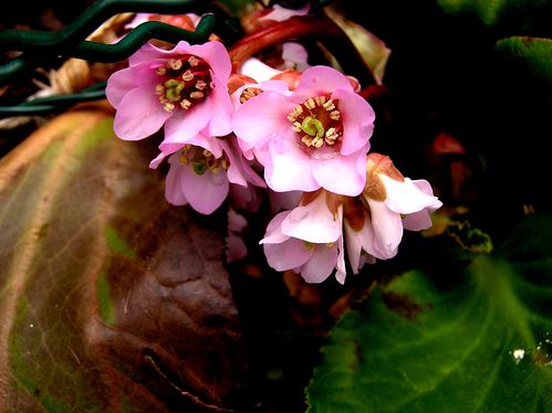 20030101_14.JPG