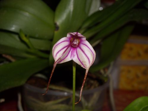 DSCN8309.JPG