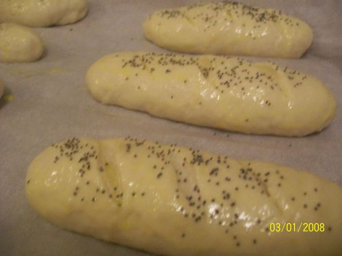 100_4019.jpg