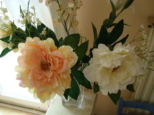 DSC01927