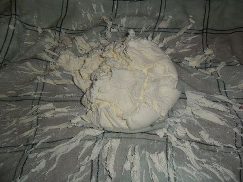 Fromage ail et fines herbes (4)