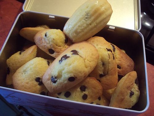 Madeleines--1-.JPG