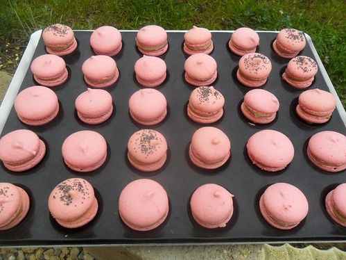 macarons framboise praliné macarons-framboise-praline.JPG