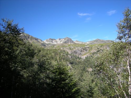 DSCN0502.JPG