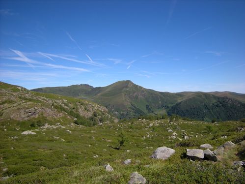DSCN0511.JPG