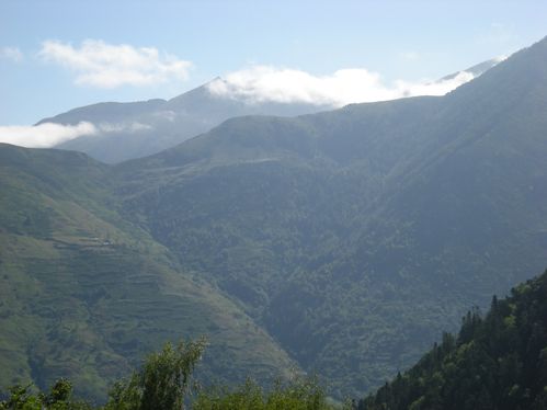 DSCN1342.JPG