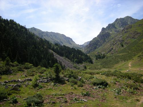 DSCN1385.JPG