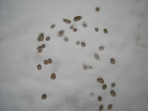 DSCN1655.JPG