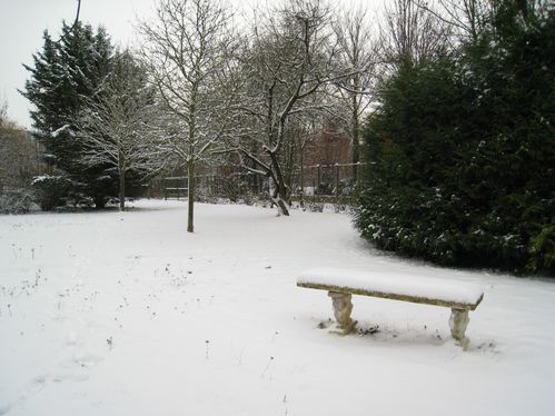 IMG 0384