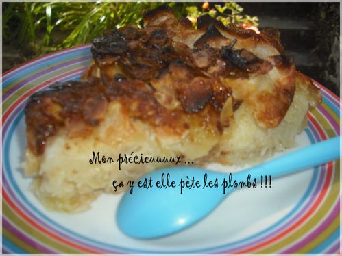 gâteau ux pommes x