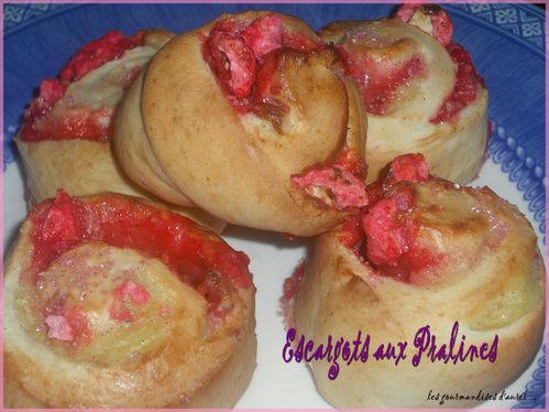 brioche aux pralines4