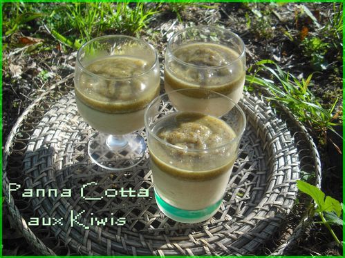 panna cotta aux kiwis