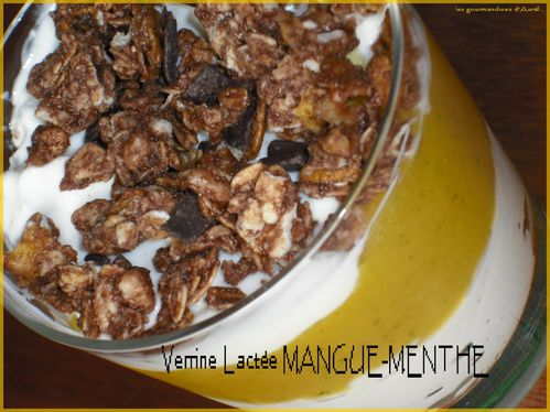 verrine-lactee-mangue-mentheok1.jpg