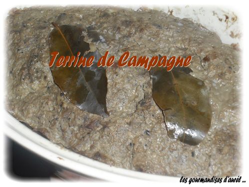 terrine de campagne1
