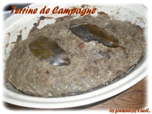 terrine de campagne3