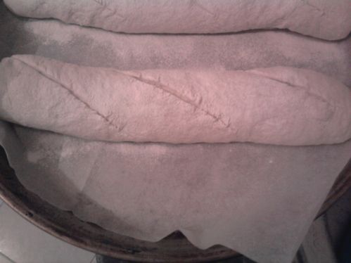 Photo0374
